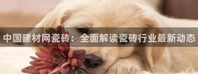 杏鑫平台待遇