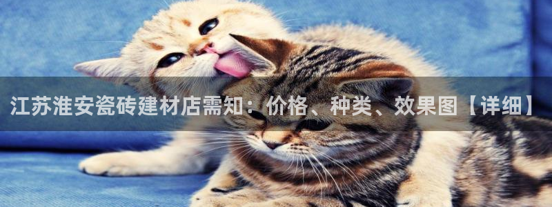 杏鑫平台下载安装