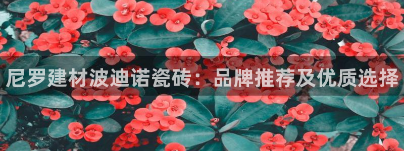 杏鑫娱乐是真的吗还是假的