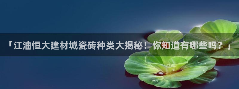 杏鑫平台招商怎么样啊