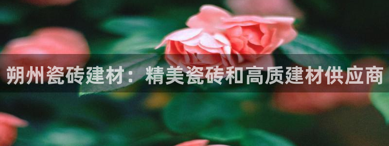 杏鑫平台代理怎么样赚钱