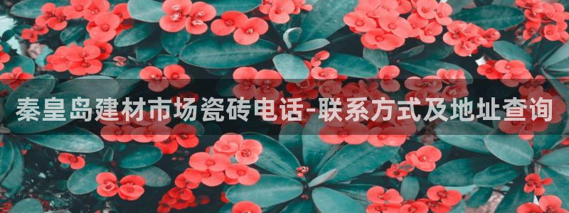 杏鑫平台代理注册流程图