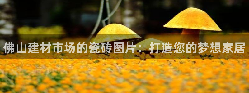 杏鑫平台注册网址