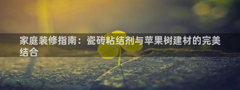 杏鑫平台线路测速