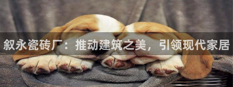 杏鑫平台代理怎么做