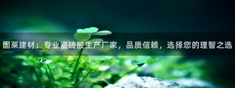 杏鑫平台正规吗可信吗