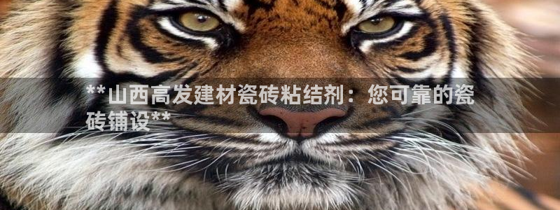 杏鑫平台登录