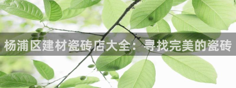 杏鑫平台代理怎么样赚钱