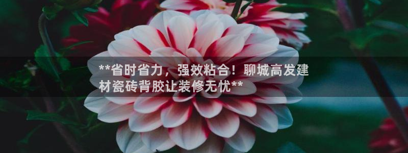 杏鑫平台测速怎么样