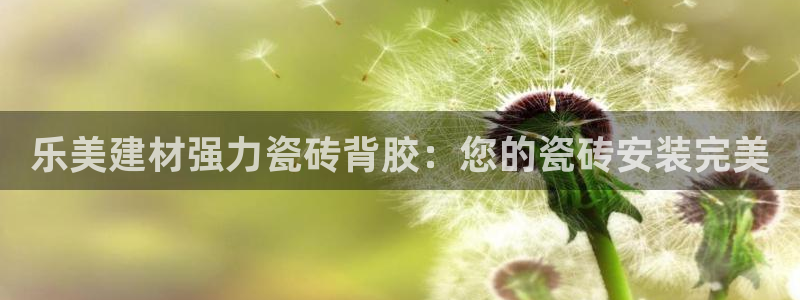 杏鑫平台注册地址在哪里
