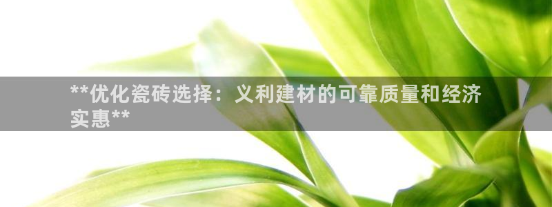 杏鑫平台代理注册流程图