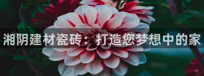 杏鑫平台招商