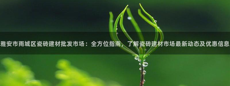 杏鑫平台下载安装